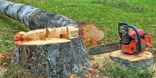 Best Stump Grinding and Removal  in Fowler, CO