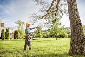 Best Tree and Shrub Care  in Fowler, CO