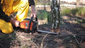 Best Lawn Irrigation Installation and Maintenance  in Fowler, CO