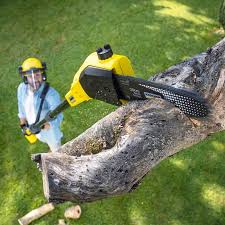 Best Artificial Turf Installation  in Fowler, CO