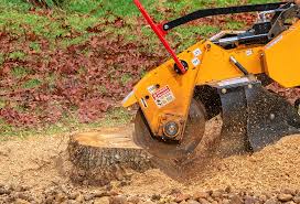 Best Hazardous Tree Removal  in Fowler, CO